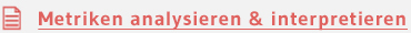 Metriken analysieren & interpretieren
