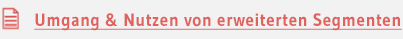 Umgang & Nutzen von erweiterten Segmenten